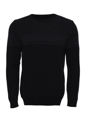 Armury Erkek Göğüs Desenli Bisiklet Yaka Triko -WSWT-1175-10