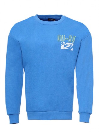 Armury Erkek Bisiklet Yaka Ön Ve Arka Baskılı Sweatshirt - WSWT-1115