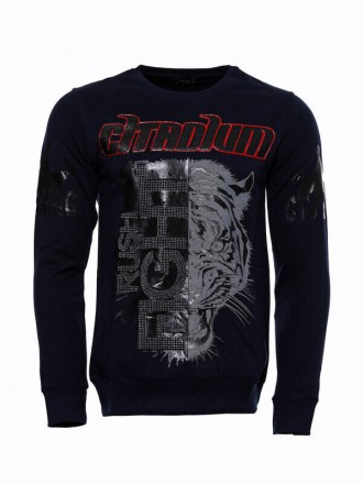 Armury Erkek Taşlı Baskılı Desenli Sweatshirt -WSWP-1000-203