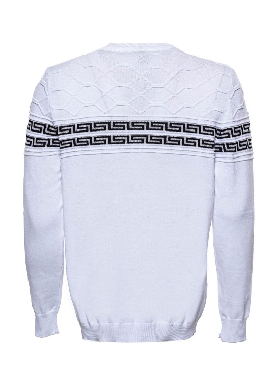 Armury Erkek Göğüs Detaylı Bisiklet Yaka Triko -WSWT-1170-72