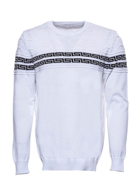 Armury Erkek Göğüs Detaylı Bisiklet Yaka Triko -WSWT-1170-72